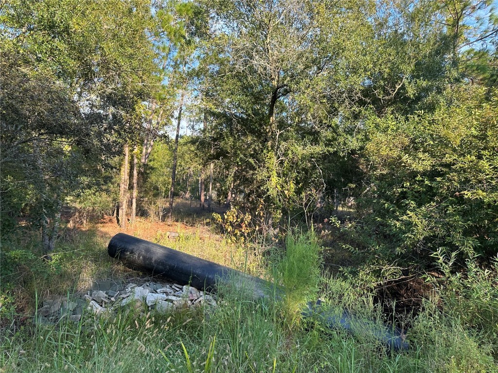 8338 Hardstone Drive Webster FL 33597 OM709669 image12