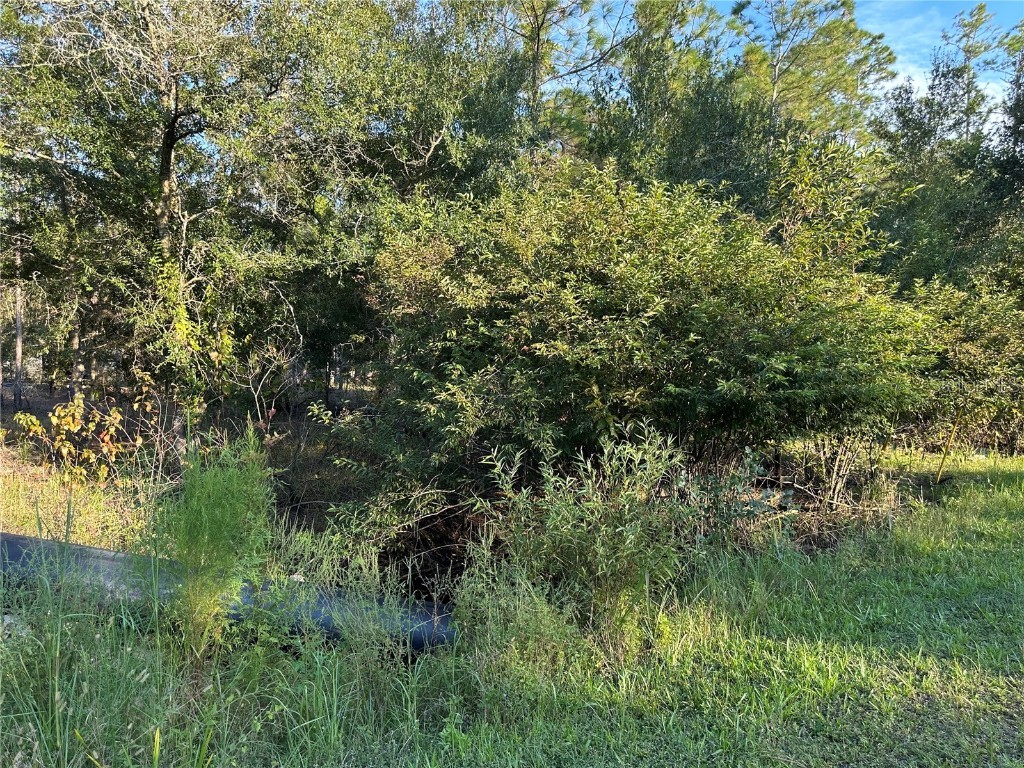 8338 Hardstone Drive Webster FL 33597 OM709669 image13