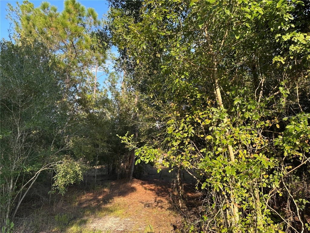 8338 Hardstone Drive Webster FL 33597 OM709669 image2