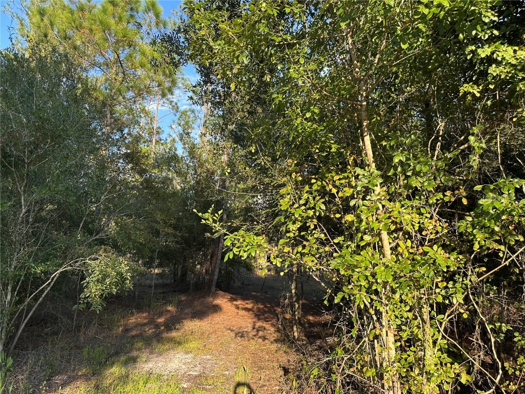 8338 Hardstone Drive Webster FL 33597 OM709669 image3