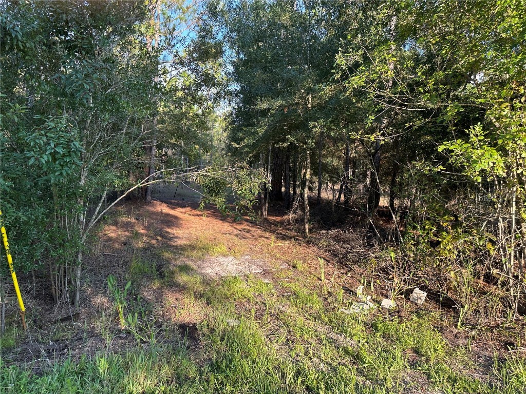 8338 Hardstone Drive Webster FL 33597 OM709669 image5