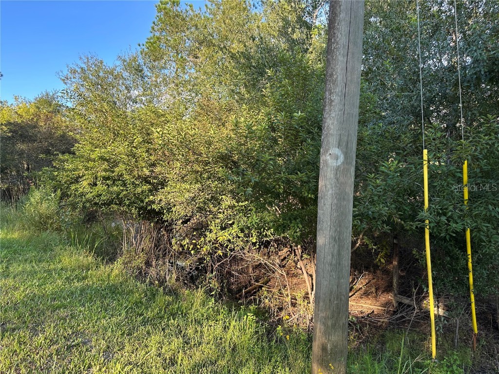 8338 Hardstone Drive Webster FL 33597 OM709669 image6