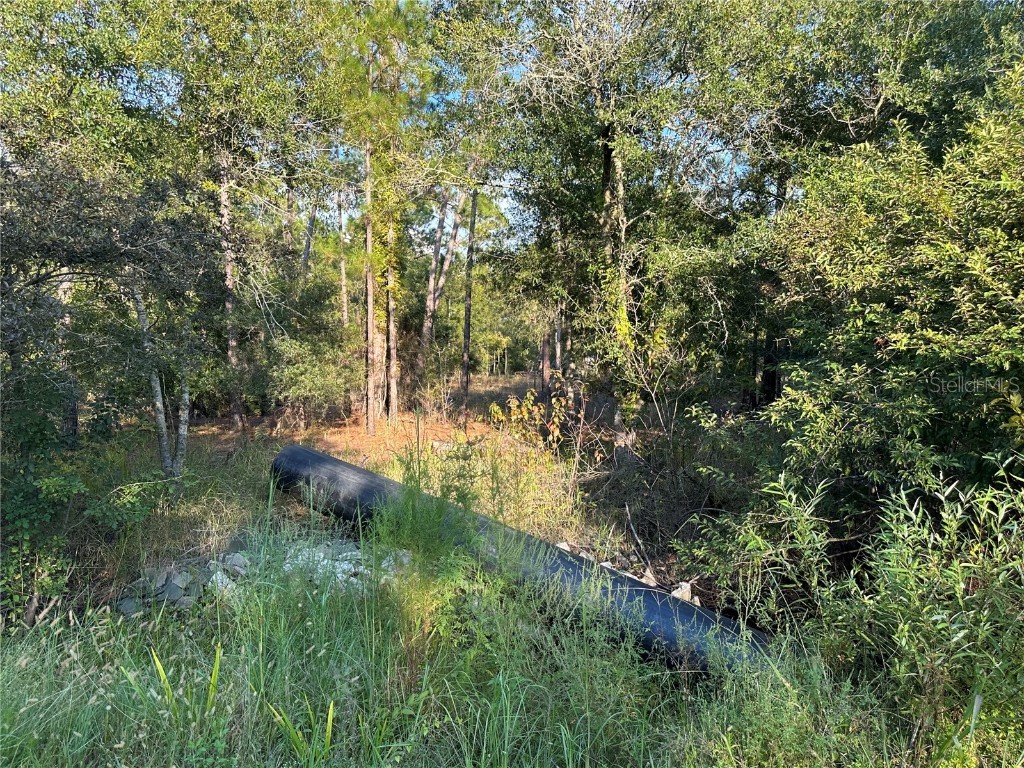 8338 Hardstone Drive Webster FL 33597 OM709669 image8