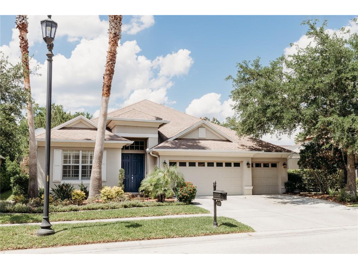 8338 Old Town Drive Tampa FL 33647 TB8380272 image1