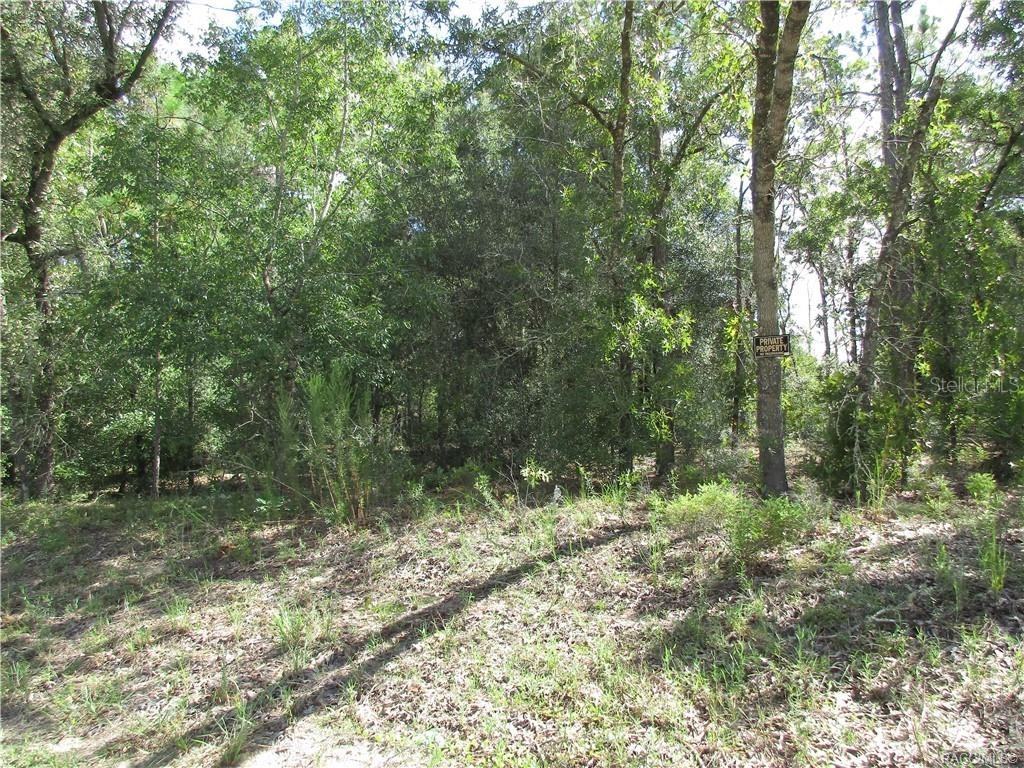 8339 N Creek Way Citrus Springs FL 34434 TB8420843 image1