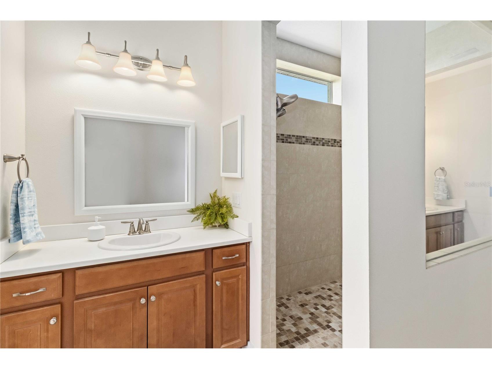 834 Birdie Way Apollo Beach FL 33572 TB8495547 image17