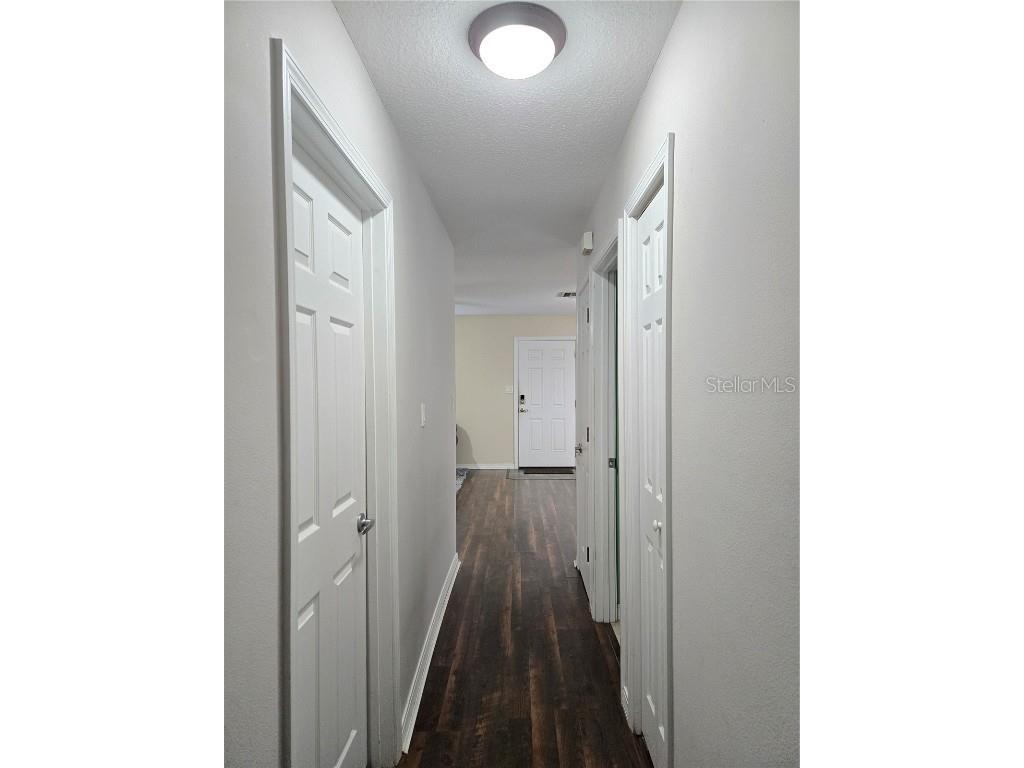 834 Donnelly Street Eustis FL 32726 S5133705 image16