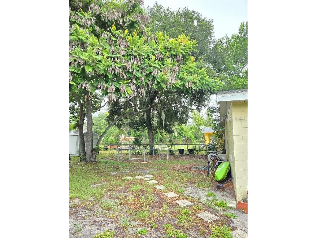 834 Donnelly Street Eustis FL 32726 S5133705 image9