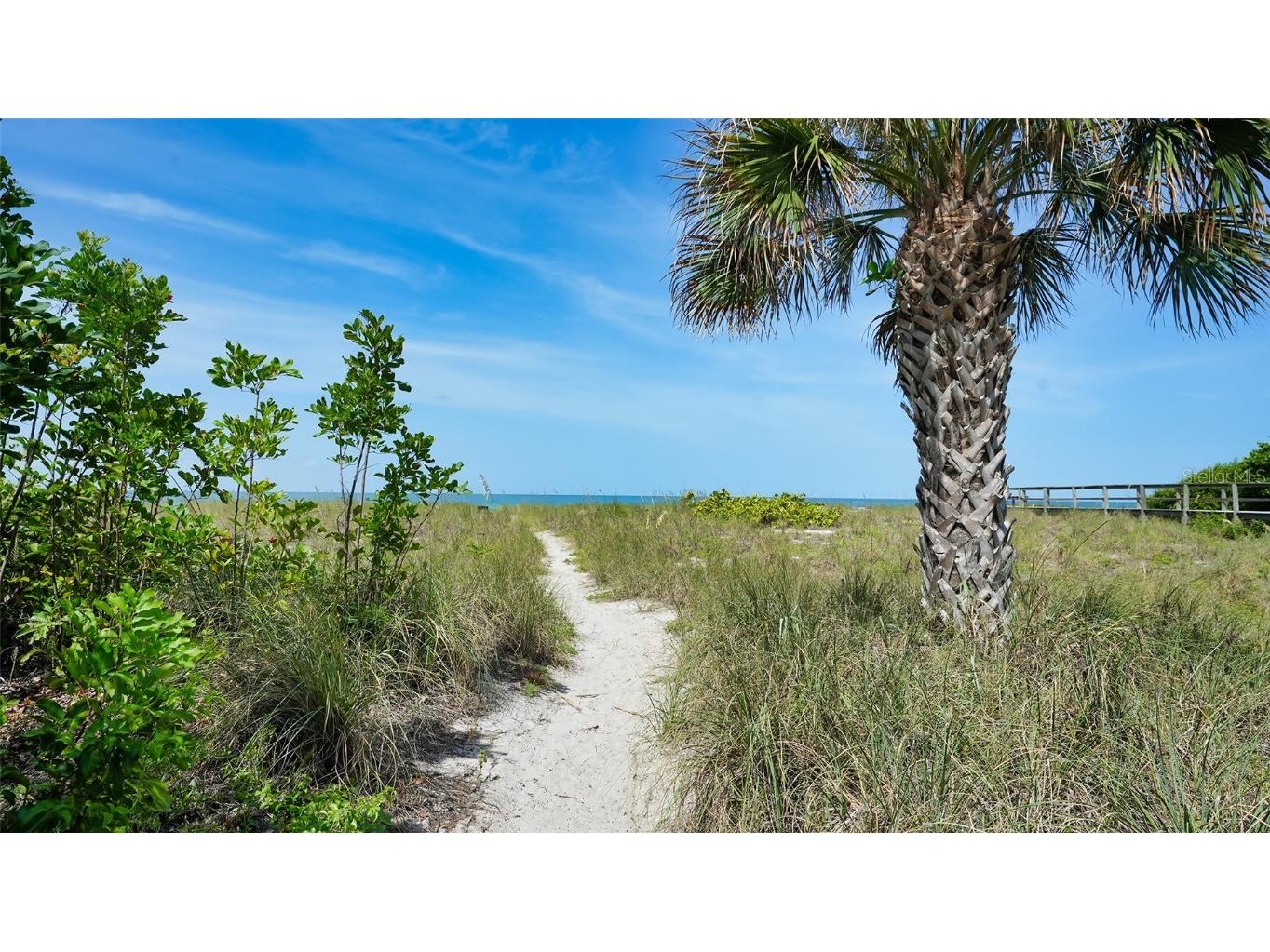 834 Jungle Queen Way Longboat Key FL 34228 A4630270 image27