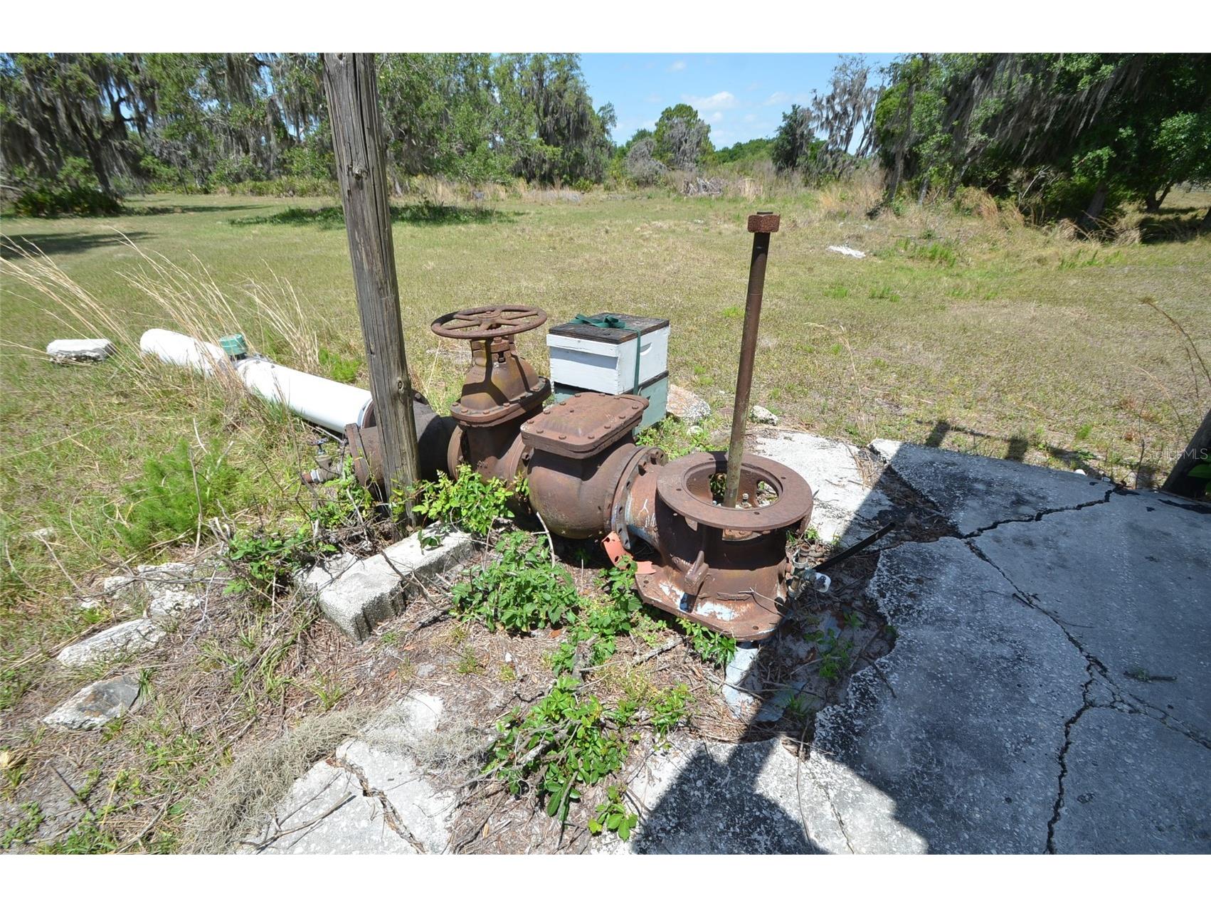 834 Logue Road Myakka City FL 34251 C7522168 image7