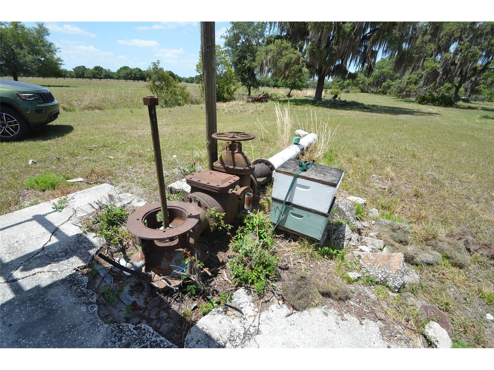 834 Logue Road Myakka City FL 34251 C7522168 image8