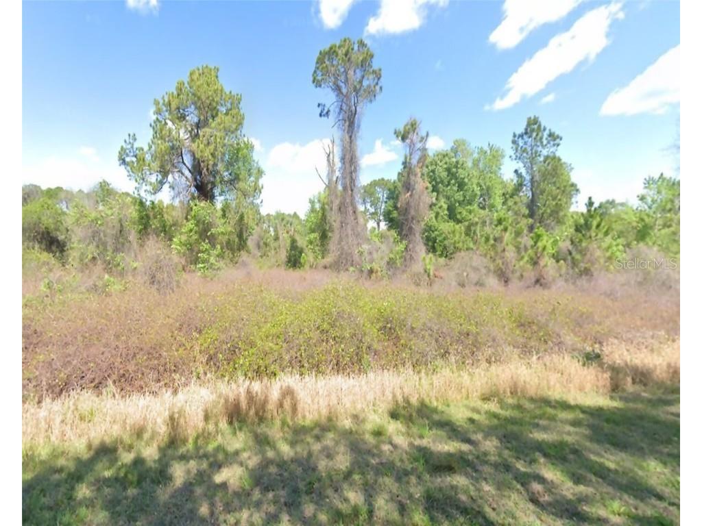 834 Paradise Boulevard Georgetown FL 32139 O6225721 image1