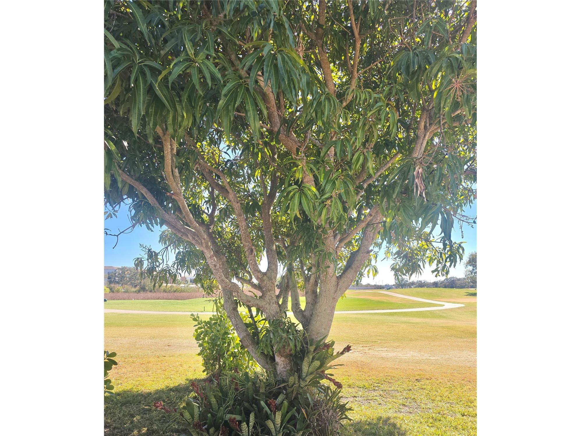 834 Springwood Circle Bradenton FL 34212 A4653084 image43