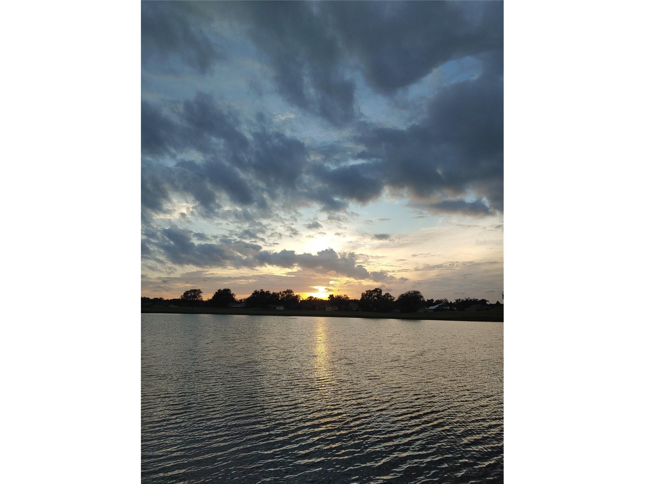 834 Springwood Circle Bradenton FL 34212 A4653084 image46