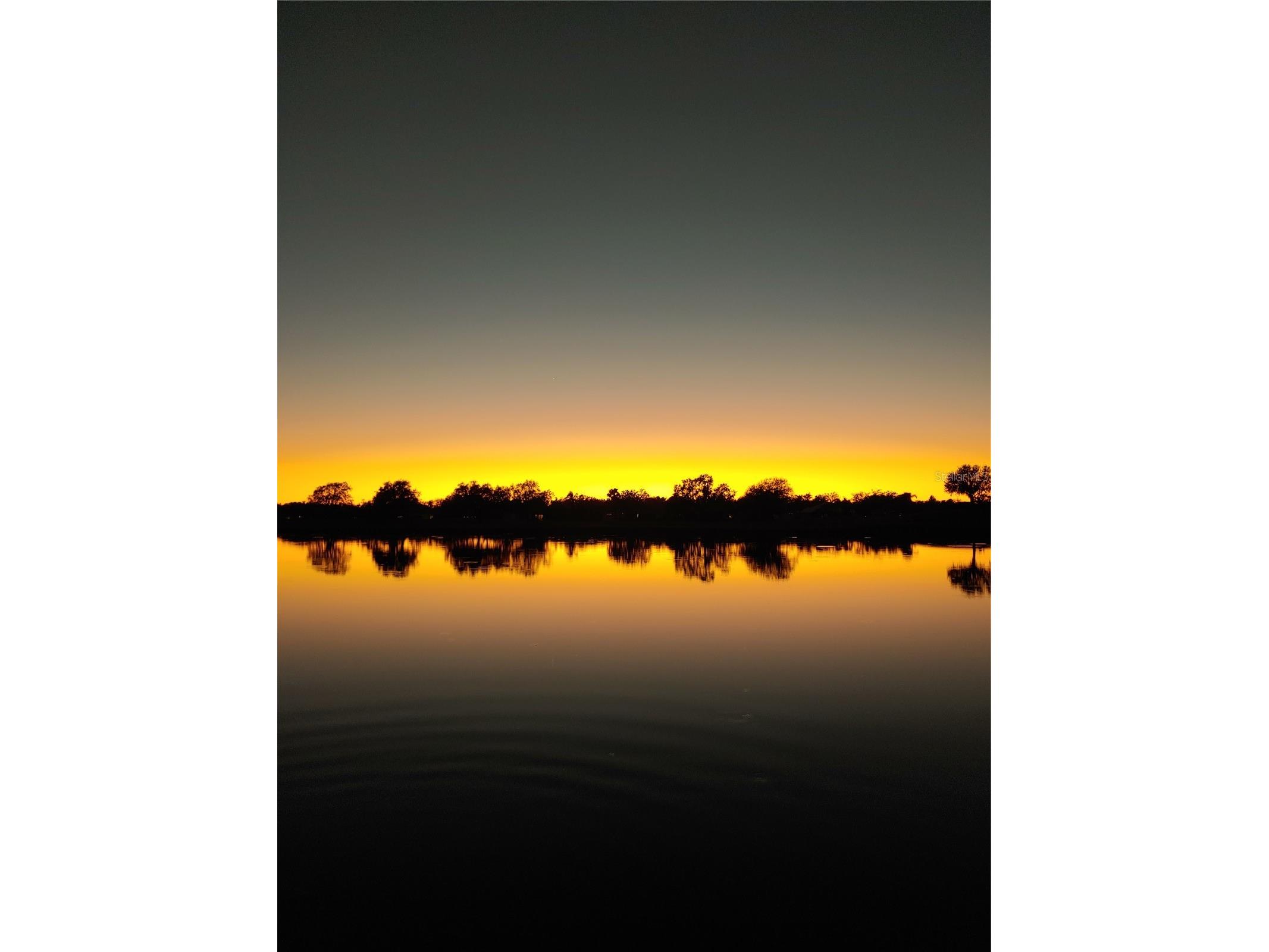 834 Springwood Circle Bradenton FL 34212 A4653084 image47