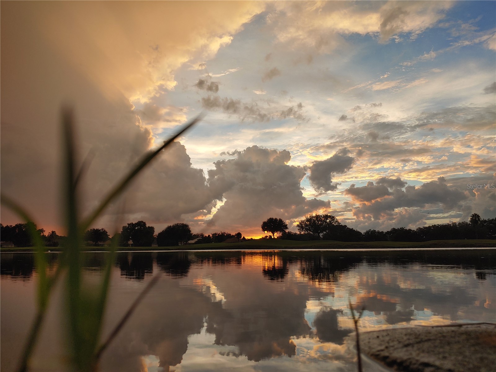 834 Springwood Circle Bradenton FL 34212 A4653084 image48