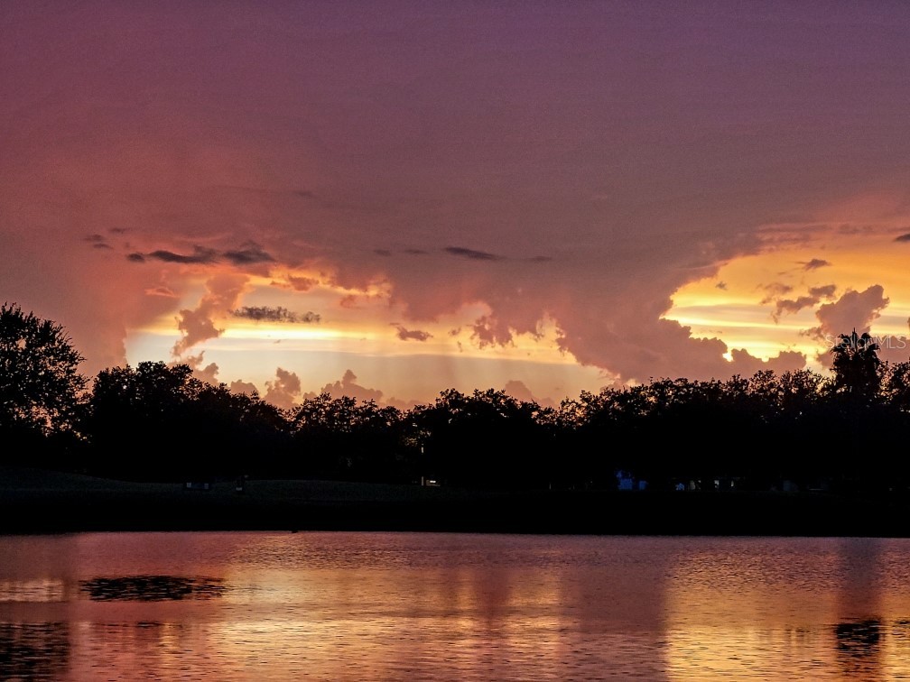 834 Springwood Circle Bradenton FL 34212 A4653084 image49