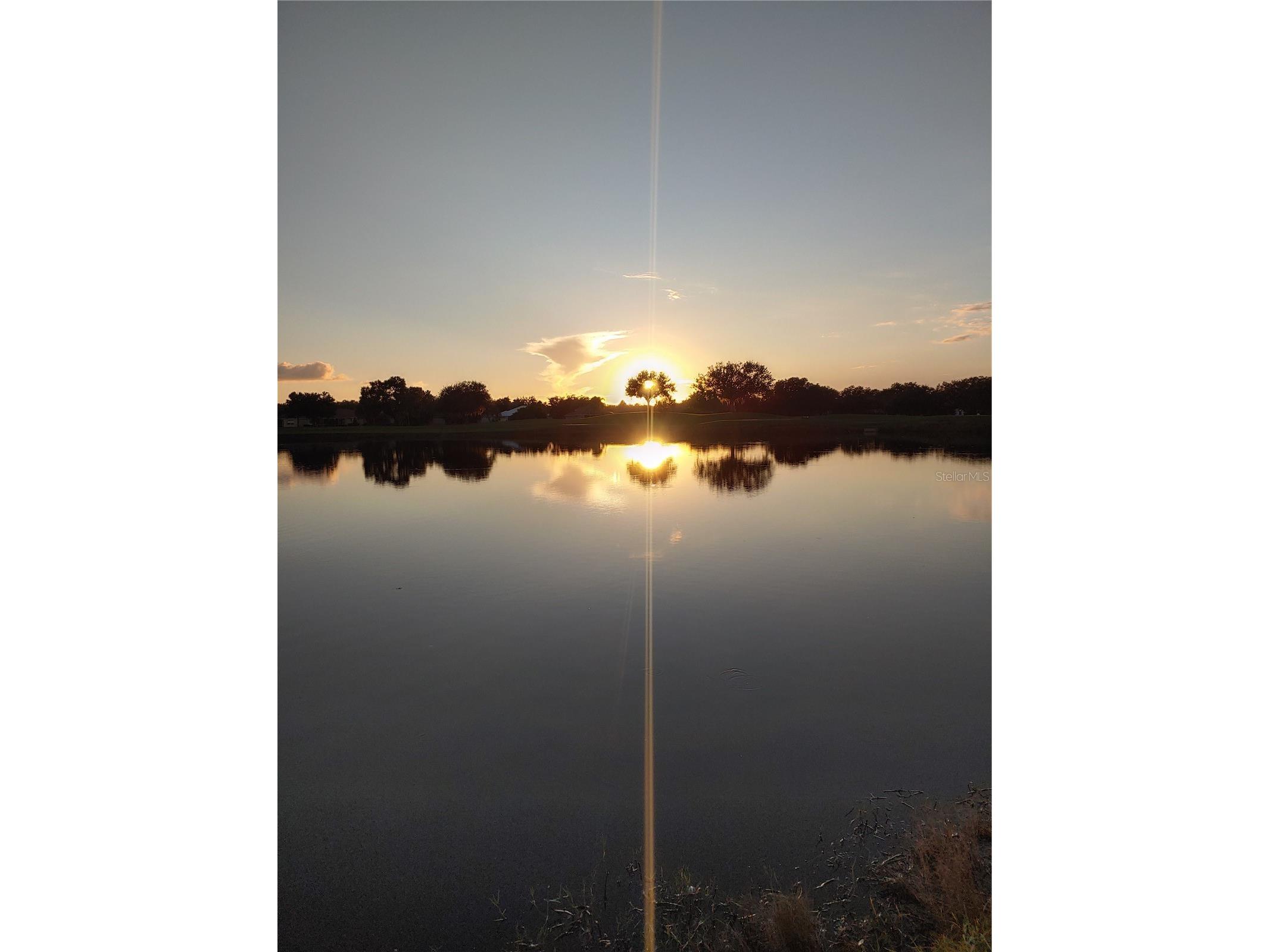 834 Springwood Circle Bradenton FL 34212 A4653084 image50