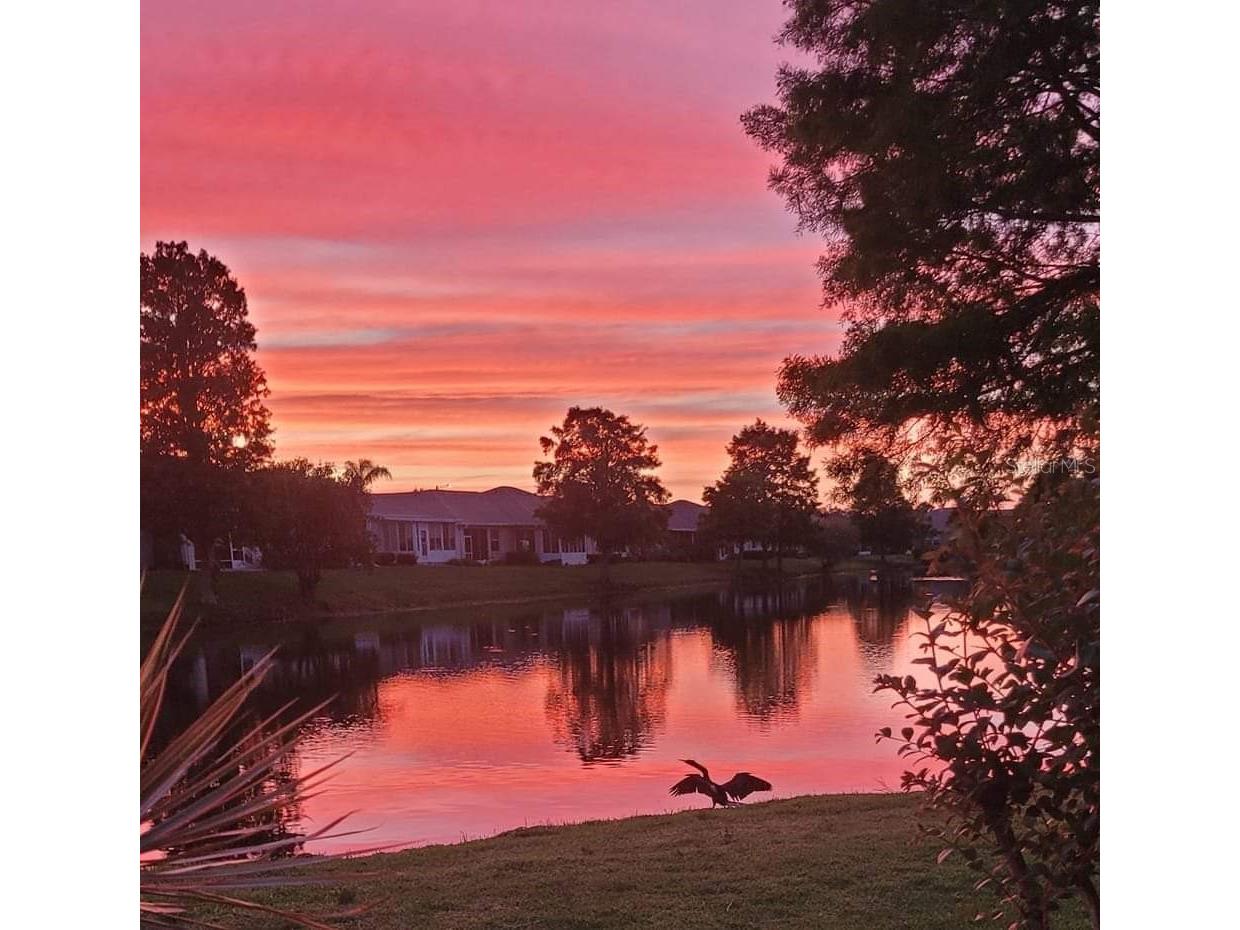 834 Tremont Greens Lane #137 Sun City Center FL 33573 TB8469111 image2