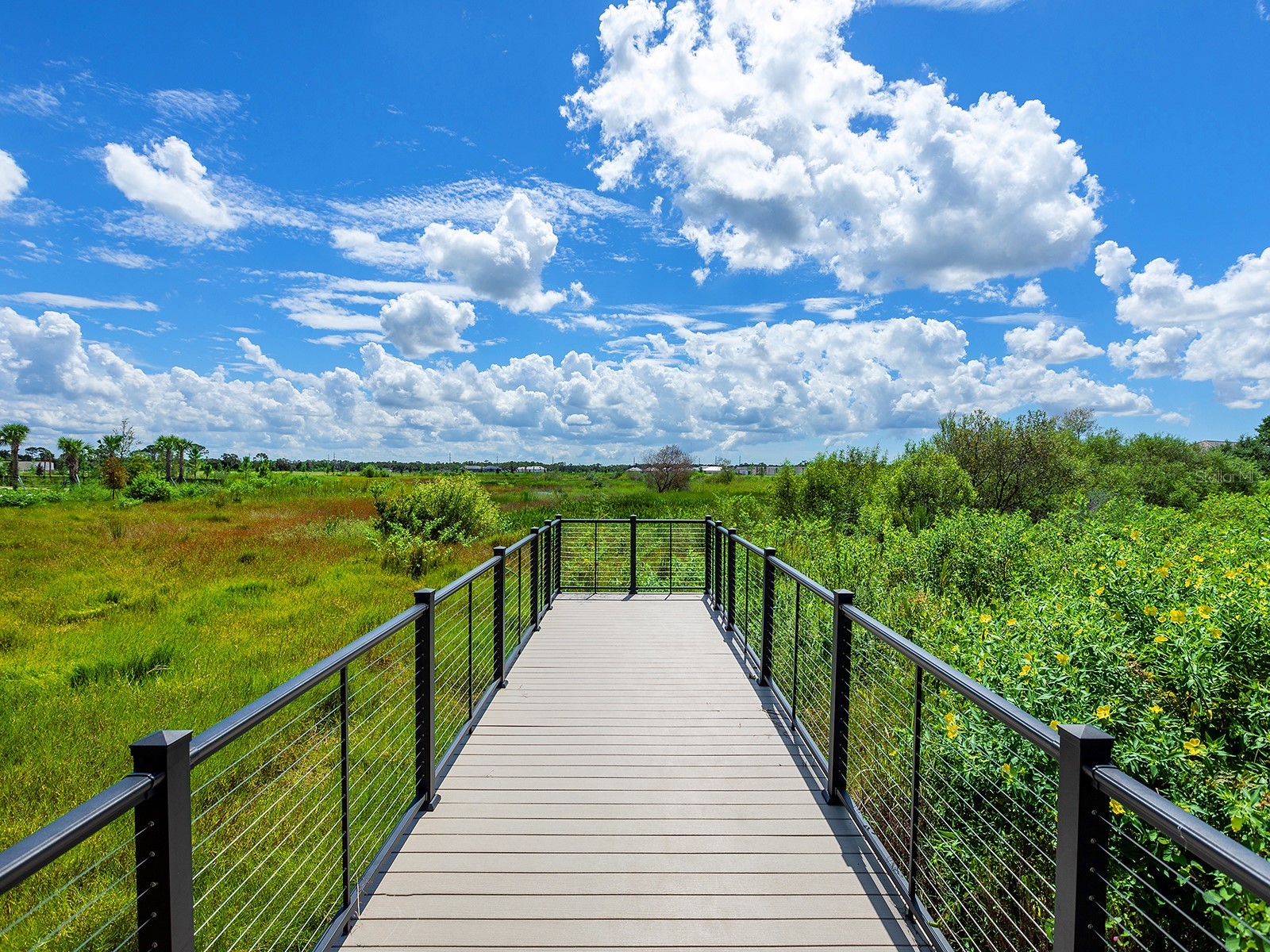 8340 Sea Glass Court Sarasota FL 34240 A4685558 image63
