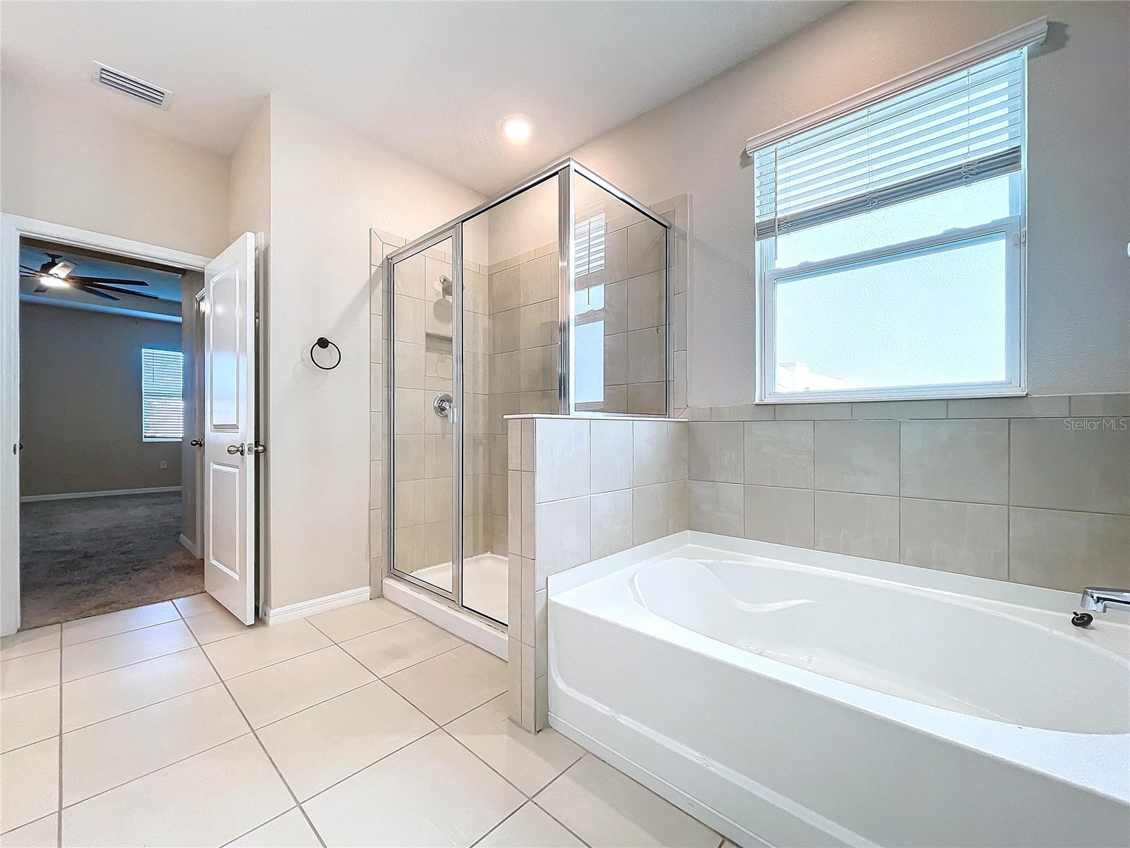 8341 Bower Bass Circle Wesley Chapel FL 33545 TB8485536 image36