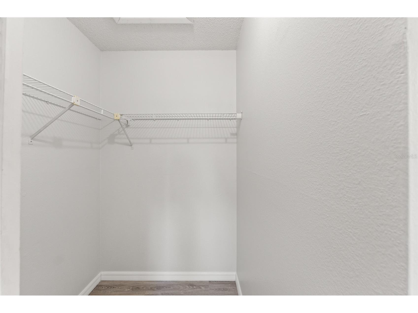 8341 Corney Drive Port Richey FL 34668 W7885412 image11
