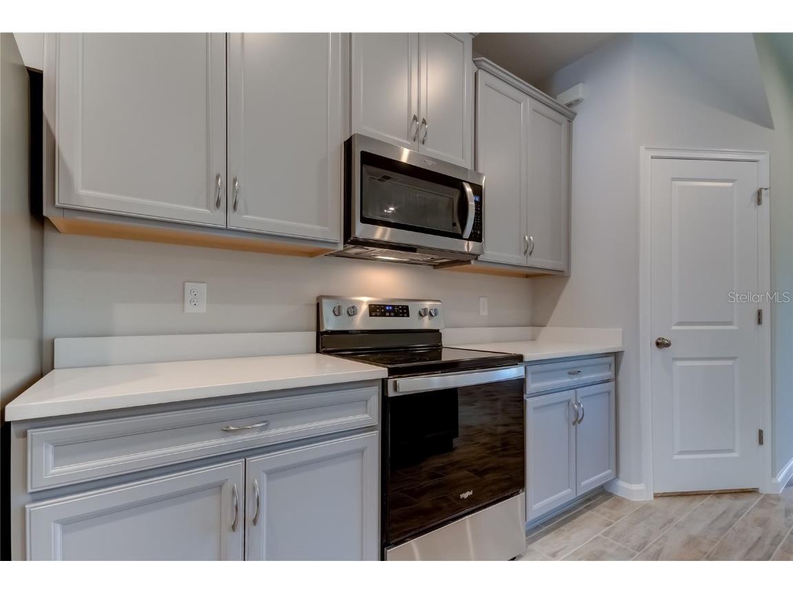 8341 Wildflower Glen Avenue Odessa FL 33556 TB8453227 image12