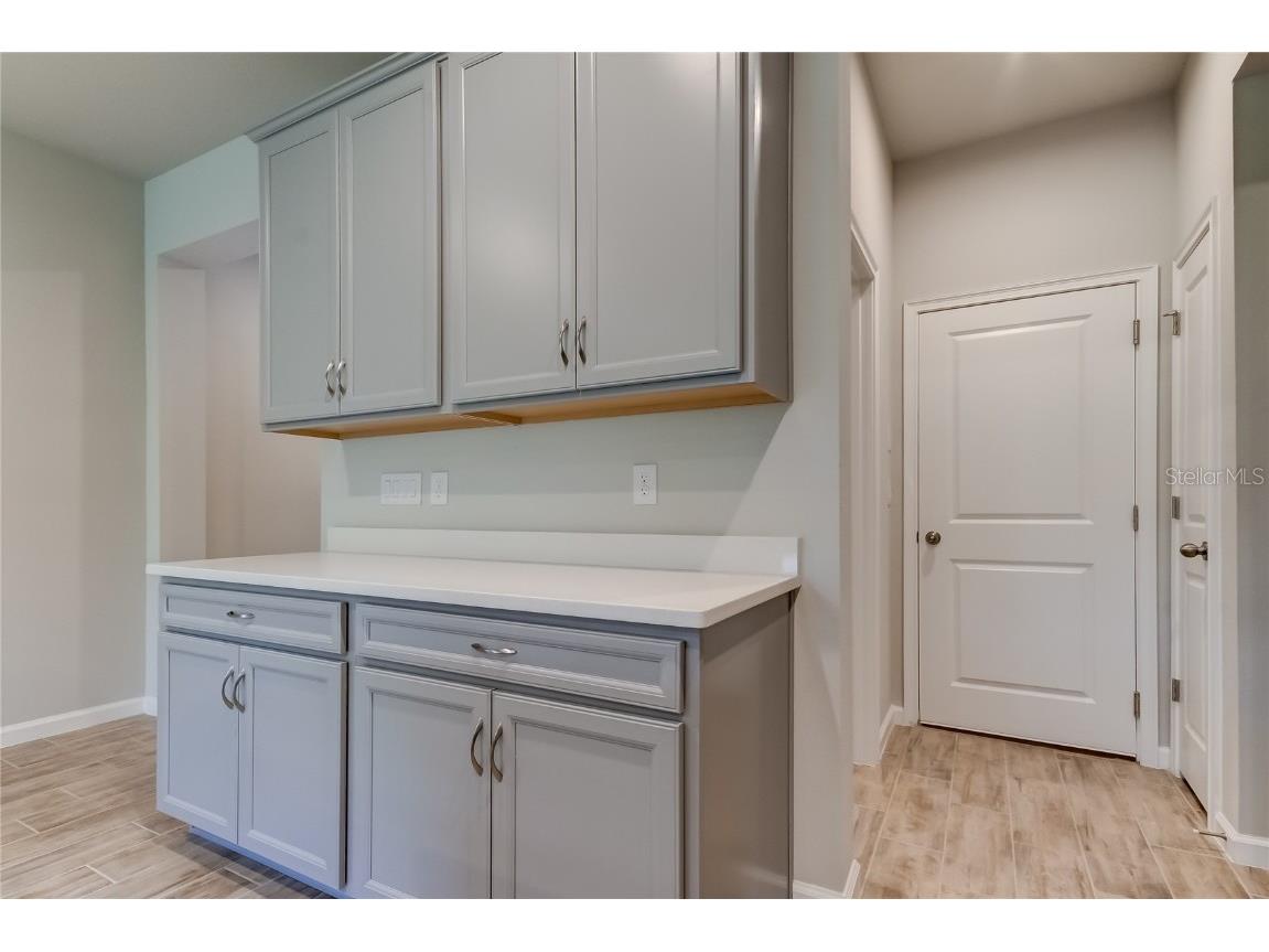 8341 Wildflower Glen Avenue Odessa FL 33556 TB8453227 image13