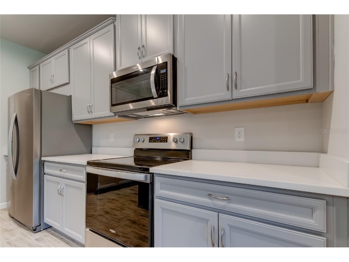 8341 Wildflower Glen Avenue Odessa FL 33556 TB8453227 image16