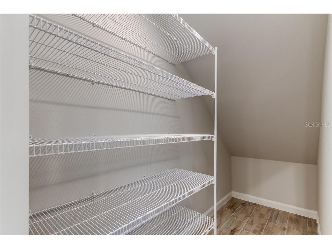 8341 Wildflower Glen Avenue Odessa FL 33556 TB8453227 image20