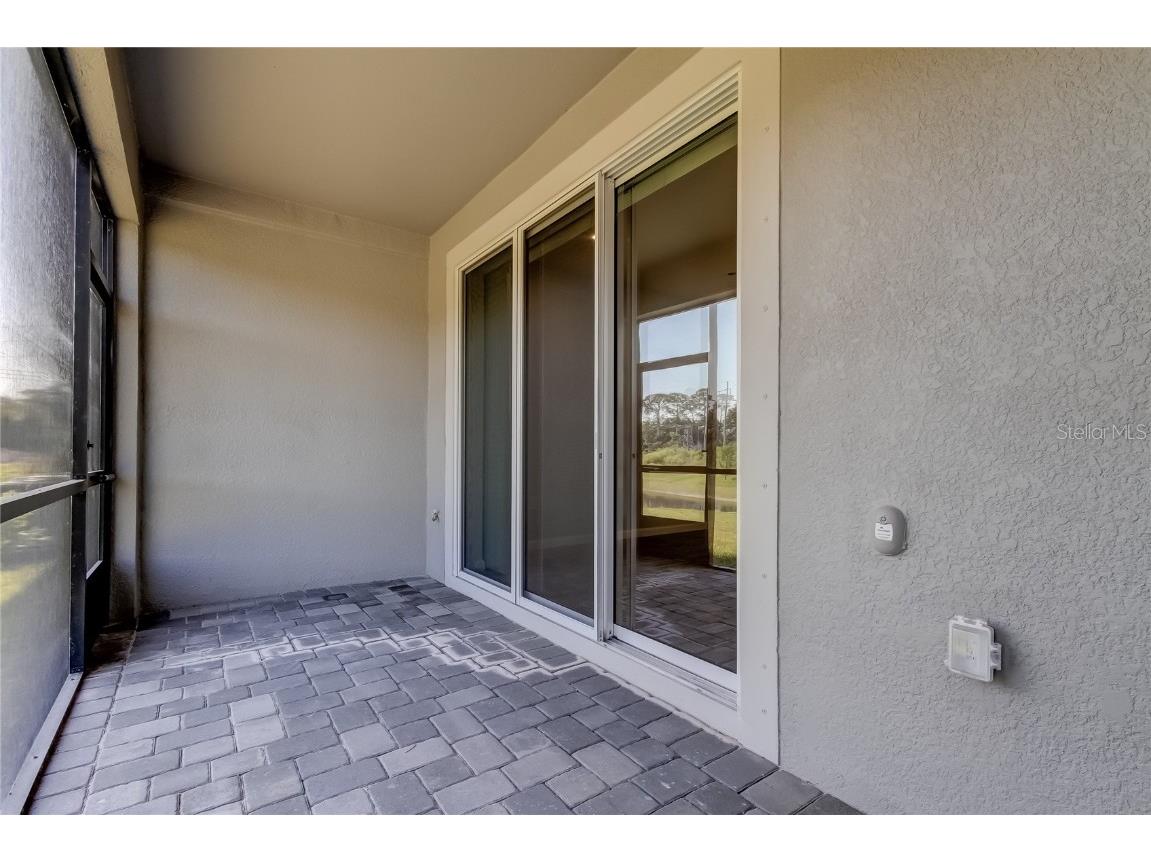 8341 Wildflower Glen Avenue Odessa FL 33556 TB8453227 image23