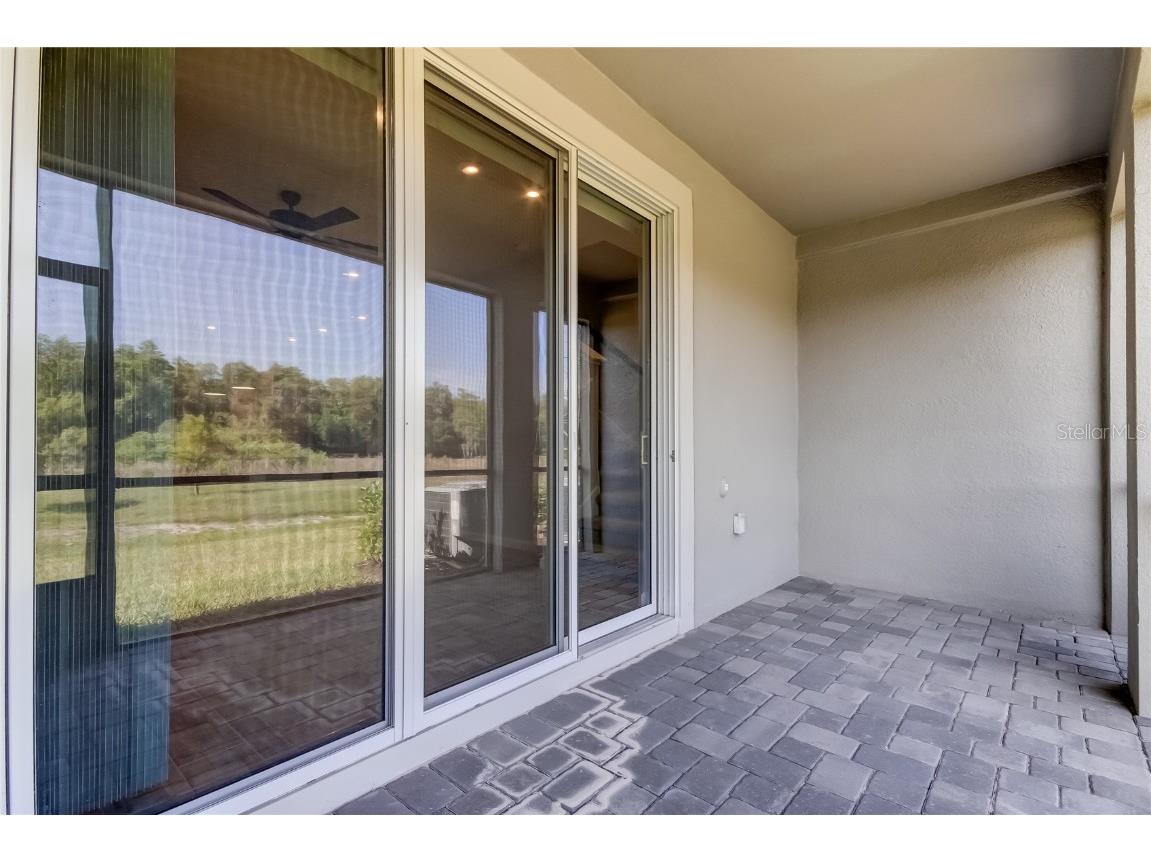 8341 Wildflower Glen Avenue Odessa FL 33556 TB8453227 image24