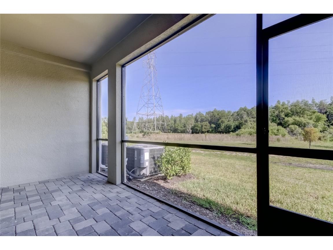 8341 Wildflower Glen Avenue Odessa FL 33556 TB8453227 image25