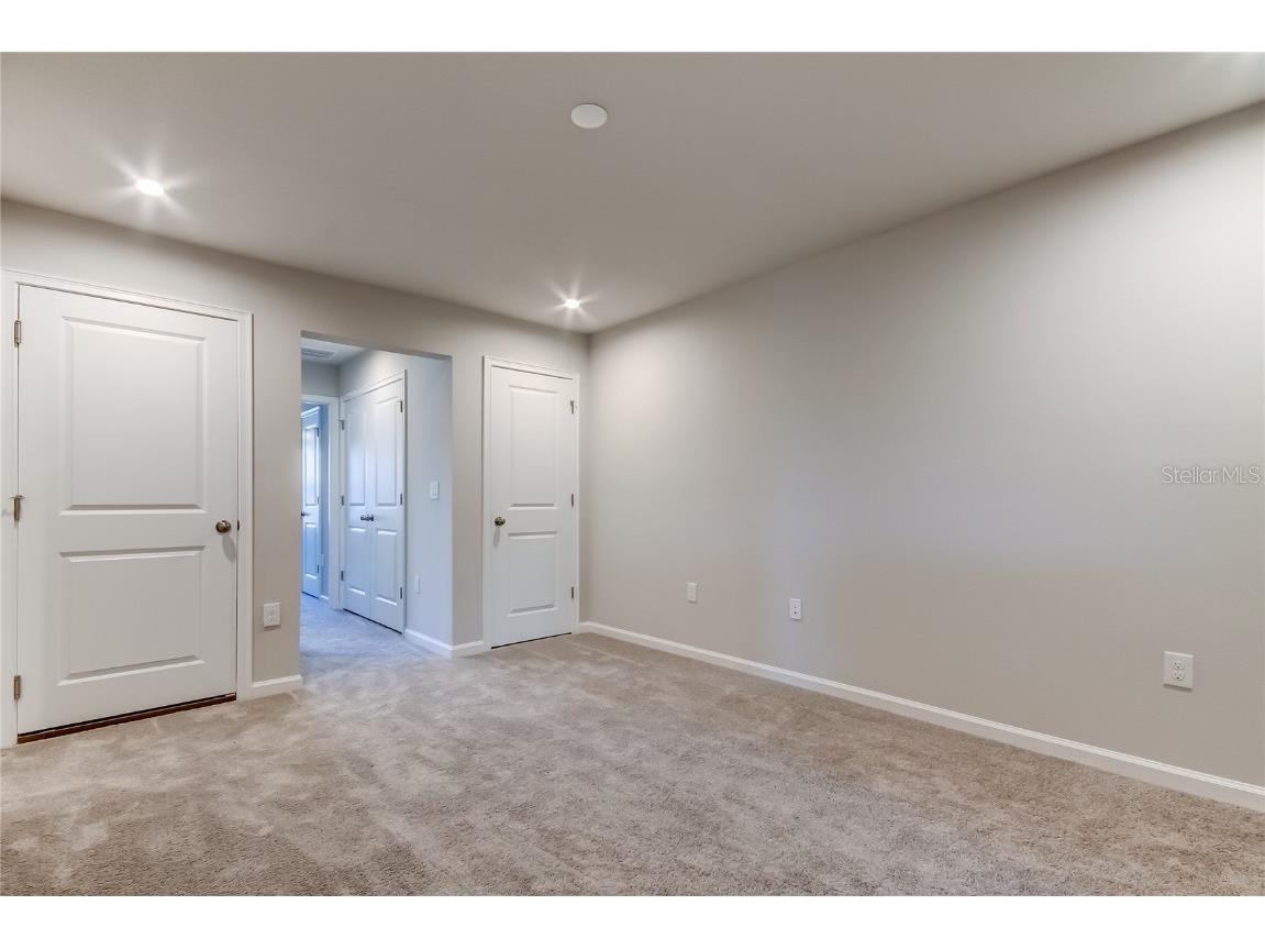 8341 Wildflower Glen Avenue Odessa FL 33556 TB8453227 image26