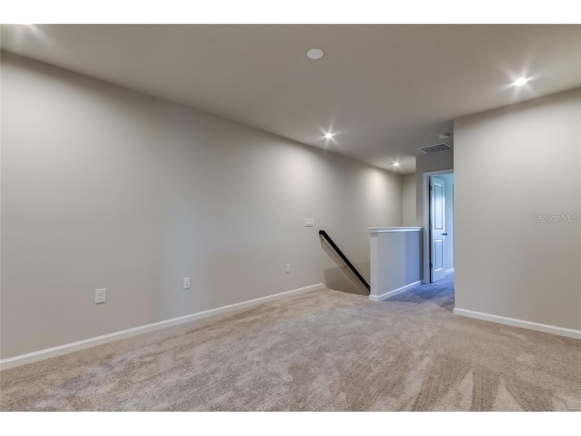 8341 Wildflower Glen Avenue Odessa FL 33556 TB8453227 image27