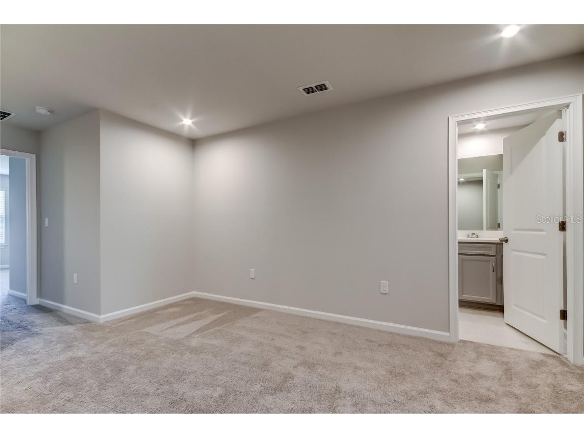 8341 Wildflower Glen Avenue Odessa FL 33556 TB8453227 image28