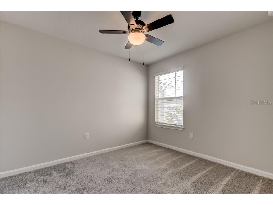 8341 Wildflower Glen Avenue Odessa FL 33556 TB8453227 image31