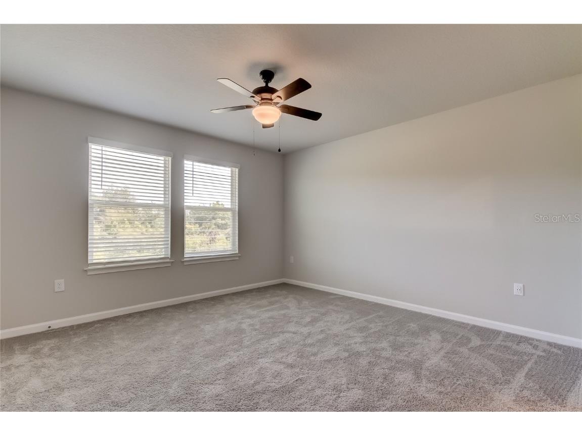 8341 Wildflower Glen Avenue Odessa FL 33556 TB8453227 image39