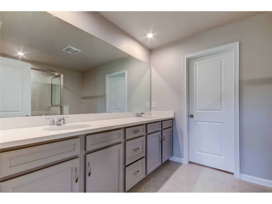 8341 Wildflower Glen Avenue Odessa FL 33556 TB8453227 image43