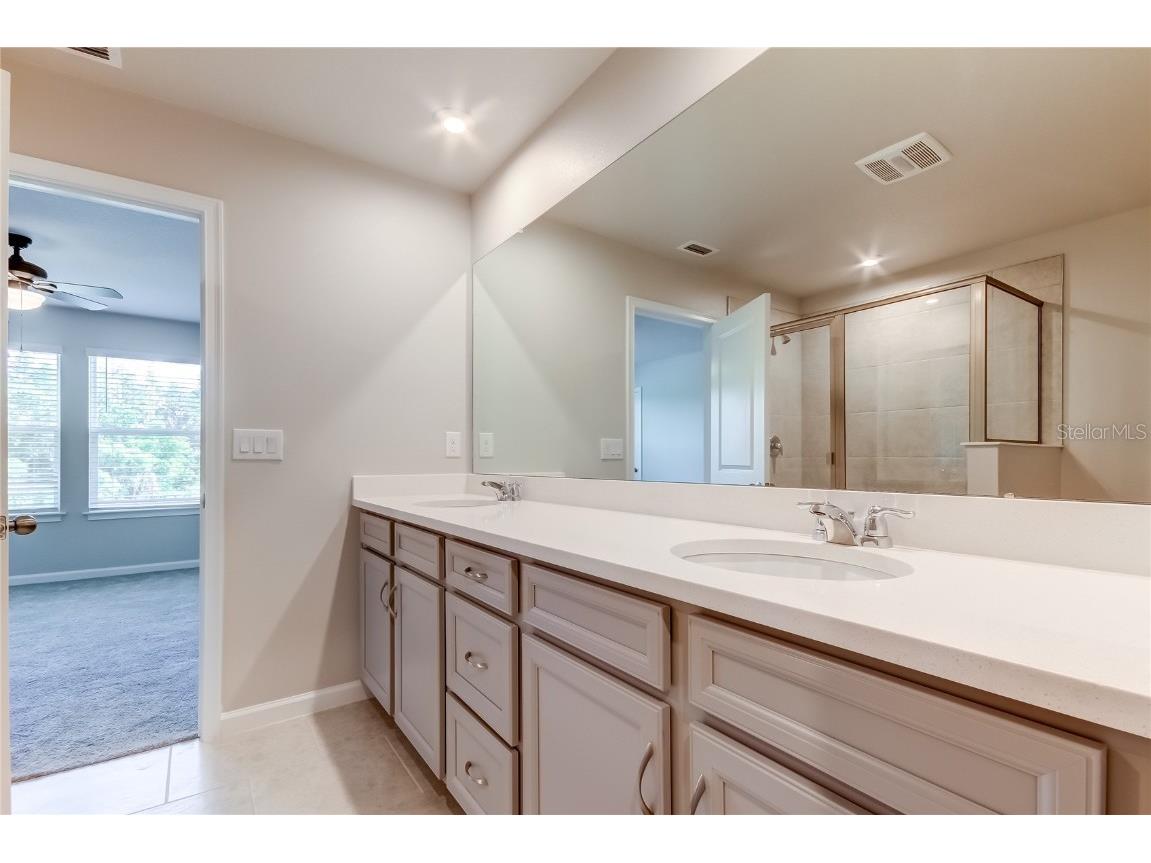 8341 Wildflower Glen Avenue Odessa FL 33556 TB8453227 image45