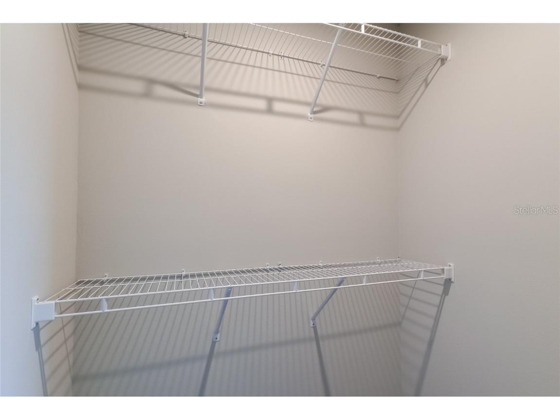 8341 Wildflower Glen Avenue Odessa FL 33556 TB8453227 image47