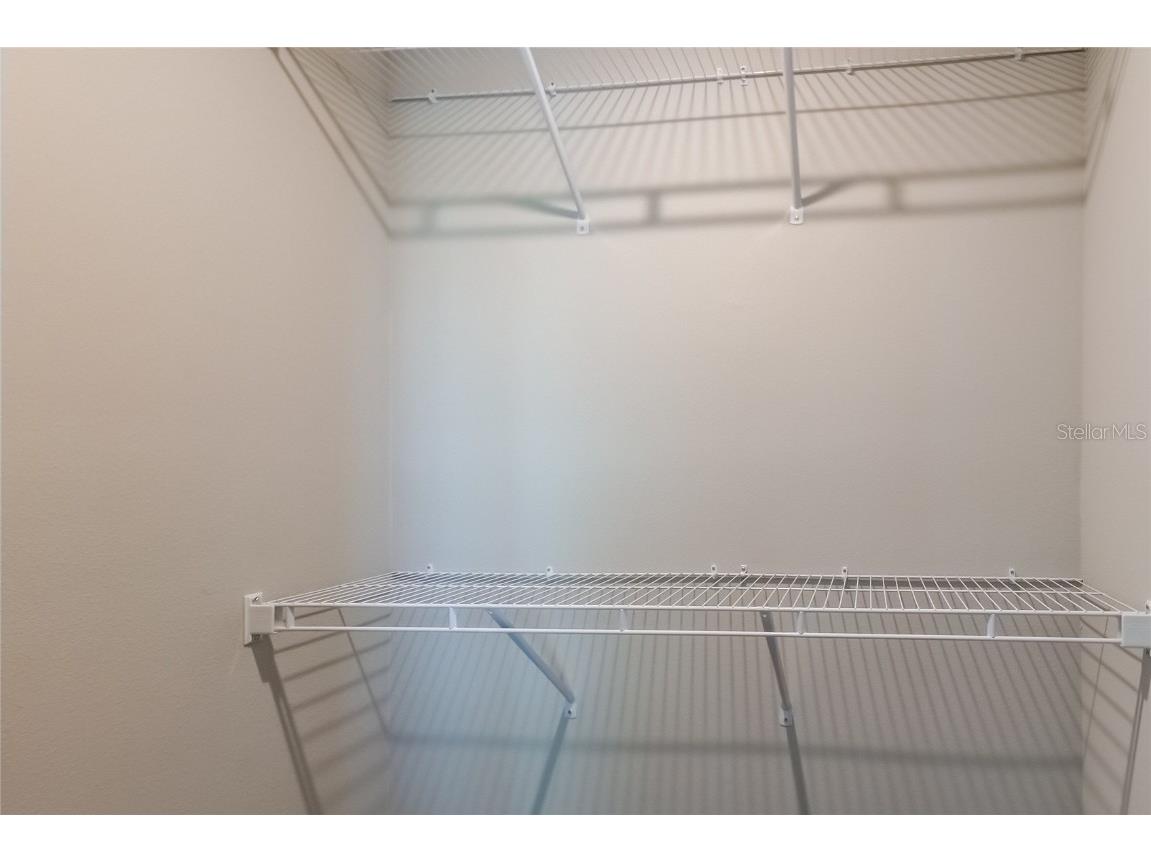 8341 Wildflower Glen Avenue Odessa FL 33556 TB8453227 image48