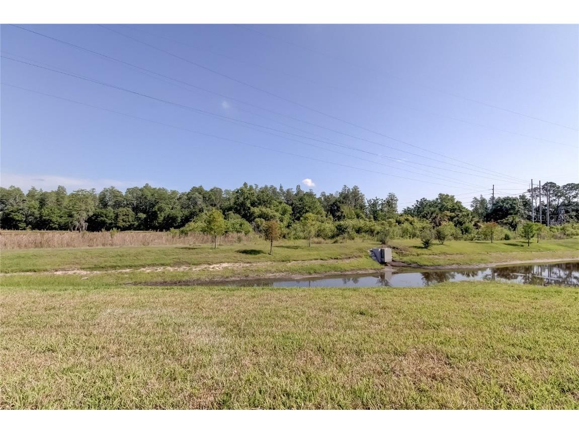 8341 Wildflower Glen Avenue Odessa FL 33556 TB8453227 image49