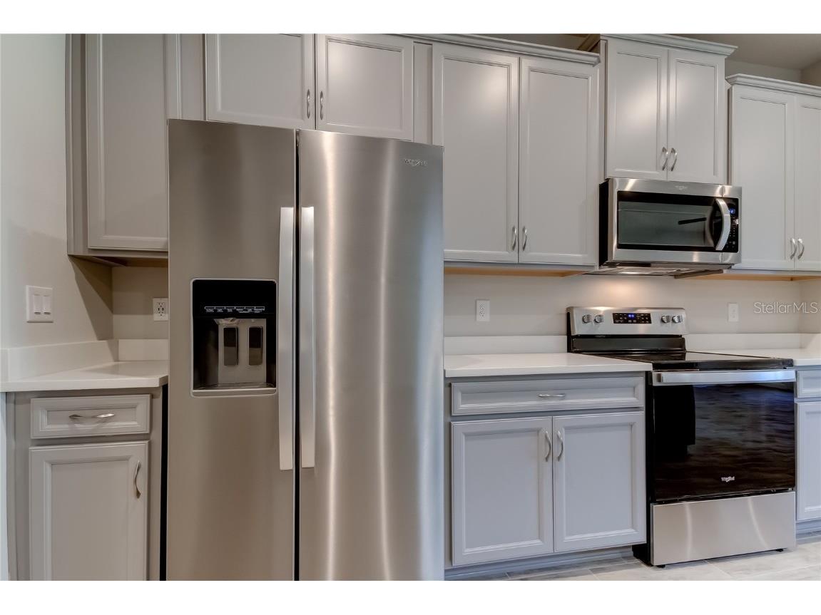 8341 Wildflower Glen Avenue Odessa FL 33556 TB8453227 image8