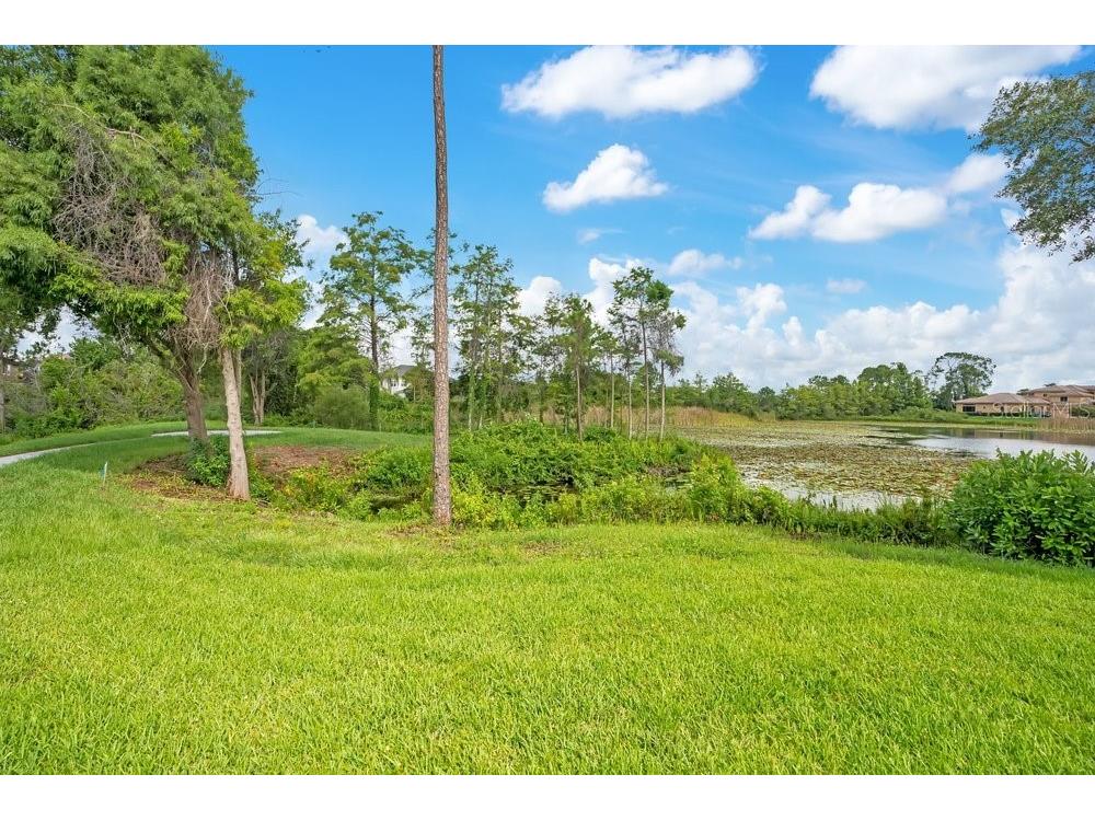 8342 Boyla Court Windermere FL 34786 - LAKE BURDEN O6422852 image86