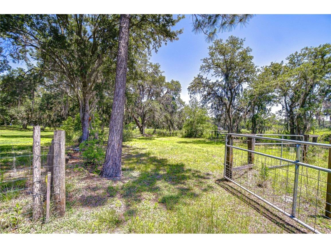 8342 Fussell Drive Wesley Chapel FL 33545 TB8387294 image33