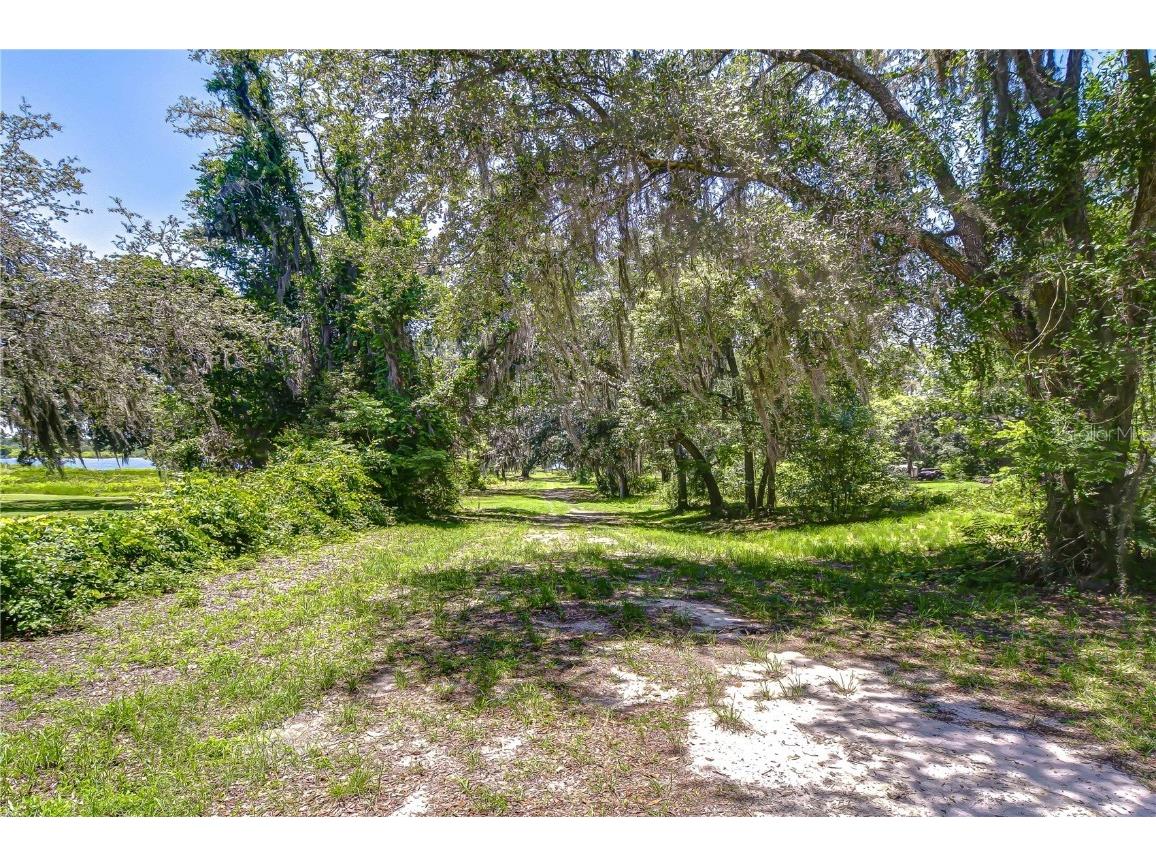 8342 Fussell Drive Wesley Chapel FL 33545 TB8387294 image34