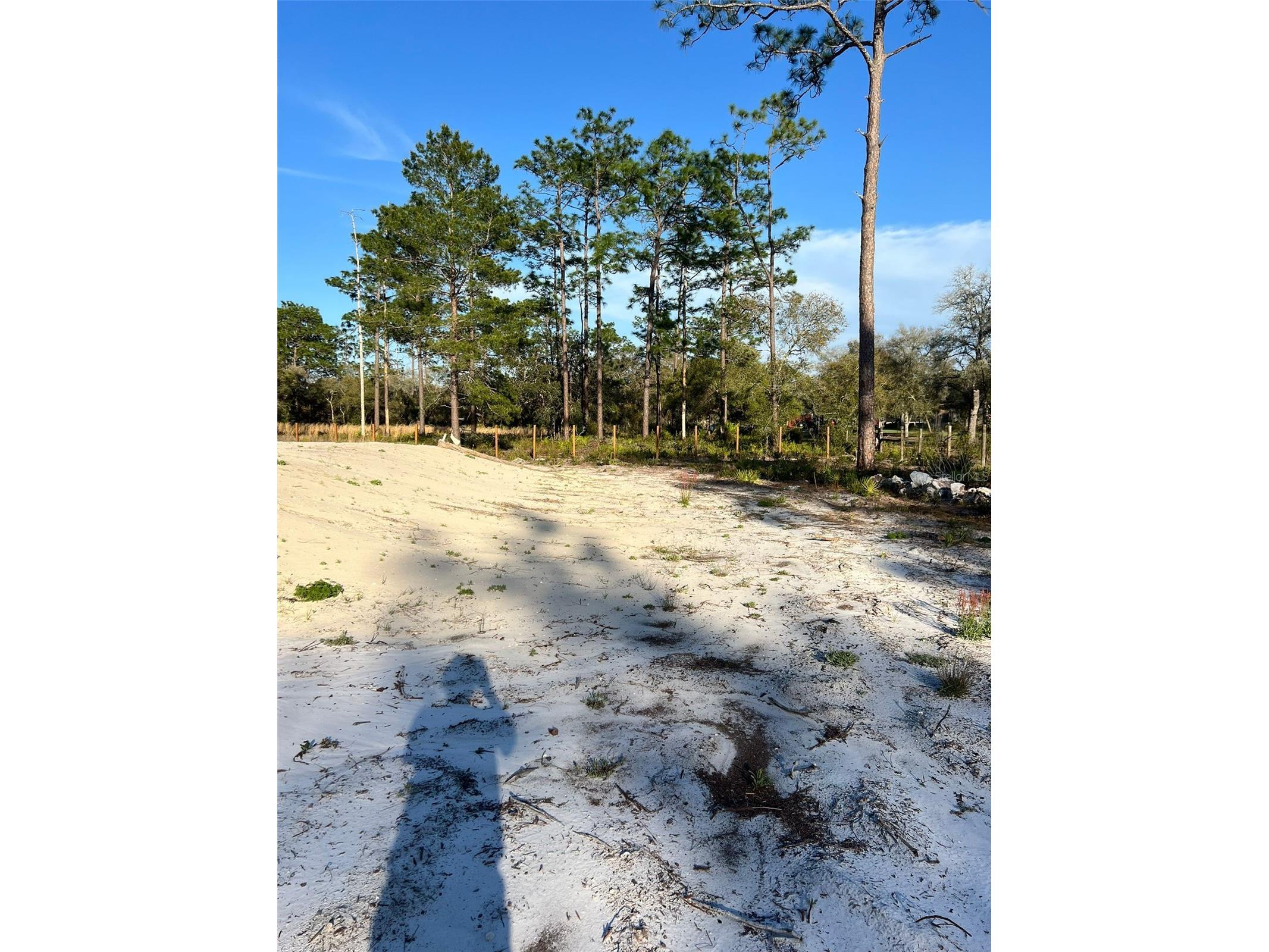 8342 SW 152nd Place Dunnellon FL 34432 O6393101 image84