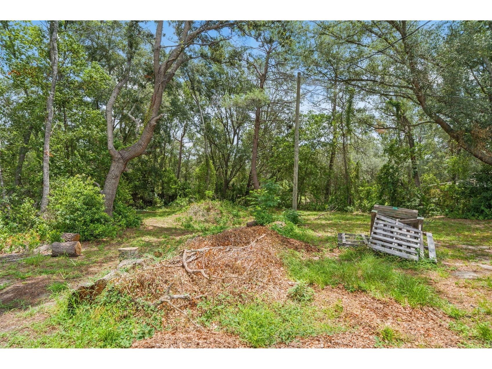 8343 Yellow Pine Avenue Brooksville FL 34613 TB8521516 image41