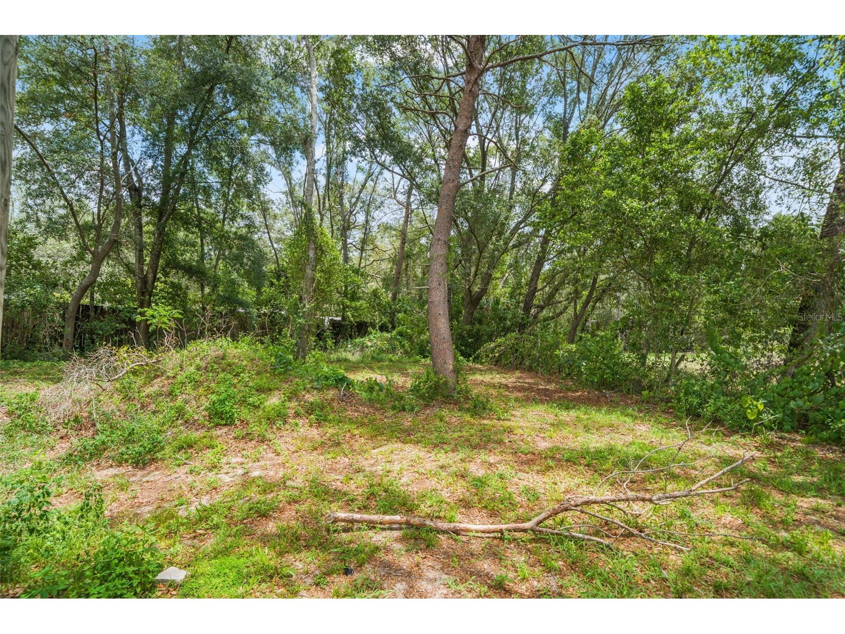 8343 Yellow Pine Avenue Brooksville FL 34613 TB8521516 image42